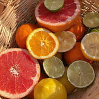 SUMMER IN SORRENTO BODY SOAP - A Citrus Love Affair 150g