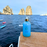 TAKE ME TO CAPRI HAND WASH - Fig Leaves & Ivy 500ml