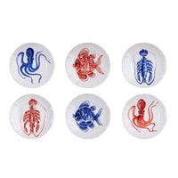 Set 6 piatti piani pesce rosso e azzurro