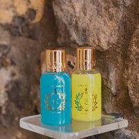 Travel Size Hair & Body Wash - 100ml